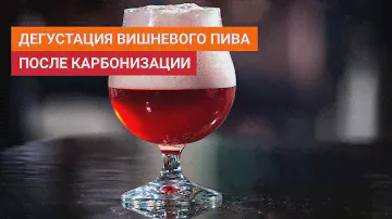 Дегустация вишневого пива после карбонизации соком по второму рецепту. Это фиаско братан 😭